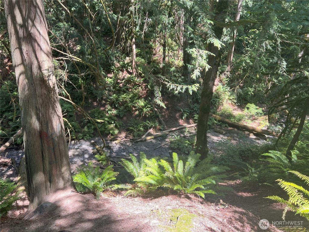 Photo of 188 XX 71st Drive NE, Arlington, WA 98223 (MLS # 2419835)