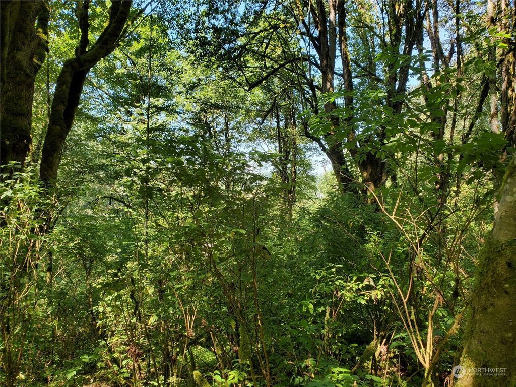 Photo of 76 xx 120th Avenue SE, Snohomish, WA 98290 (MLS # 2044088)