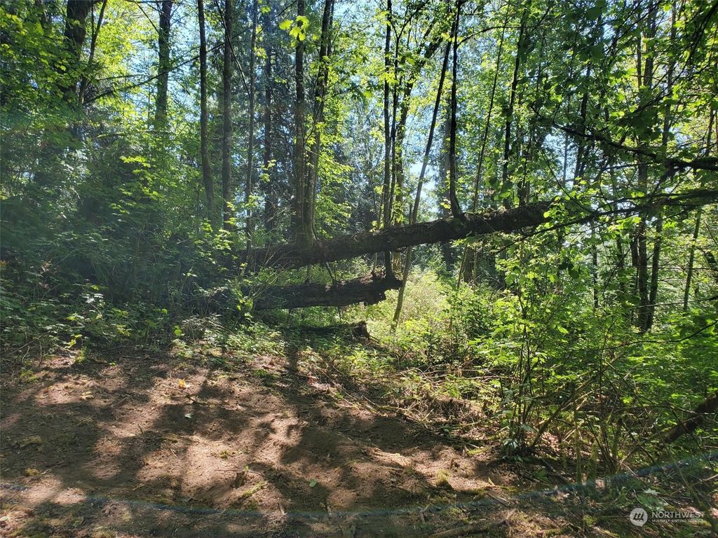 Photo of 76 xx 120th Avenue SE, Snohomish, WA 98290 (MLS # 2044088)