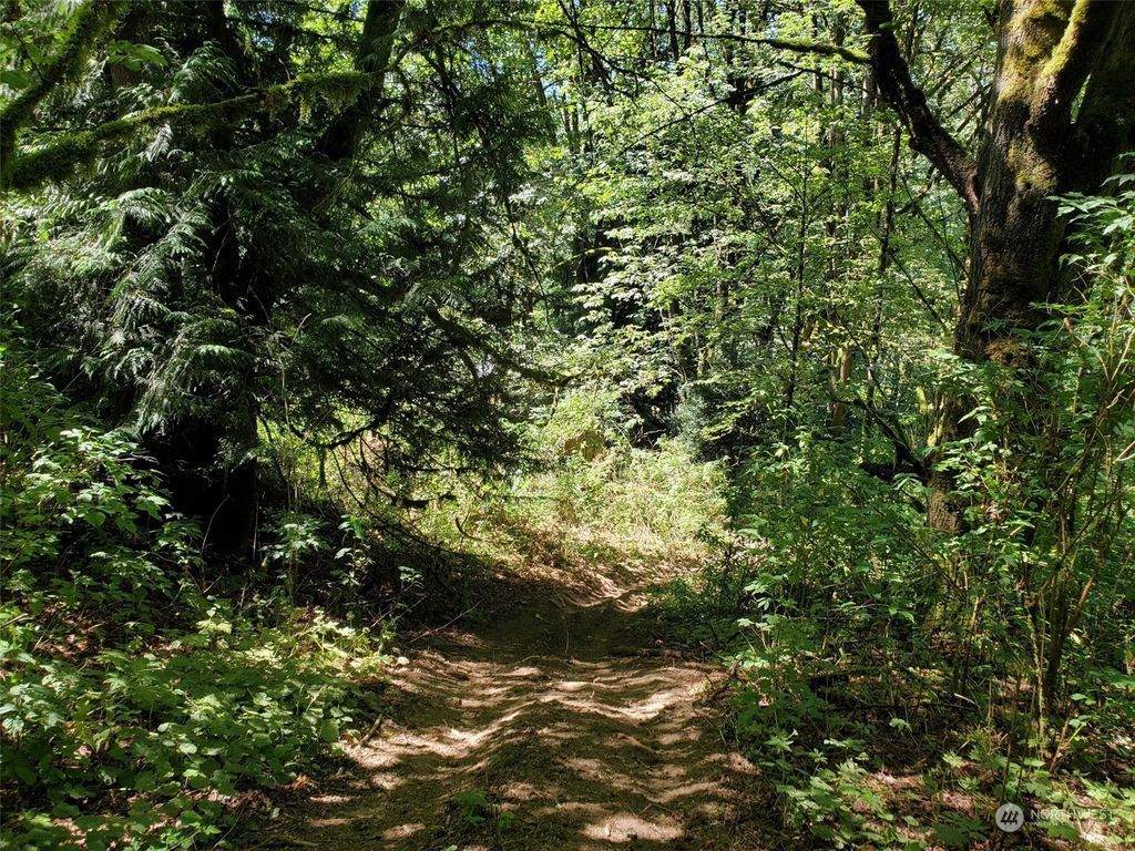 Photo of 76 xx 120th Avenue SE, Snohomish, WA 98290 (MLS # 2044088)