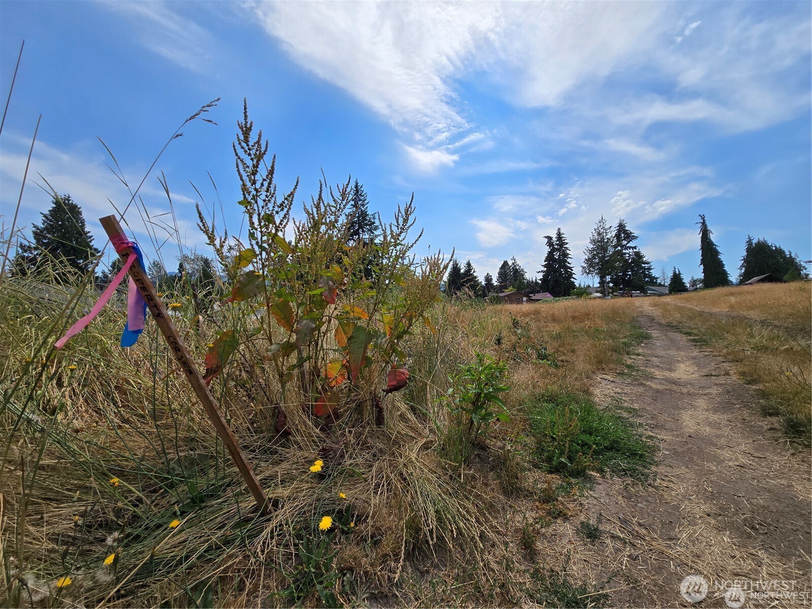 1114 W Lauridsen Blvd Lot D & C