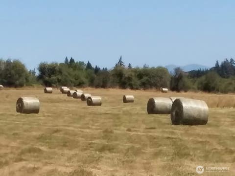 Photo of 0 Drews Prairie Road, Winlock, WA 98596 (MLS # 2568560)