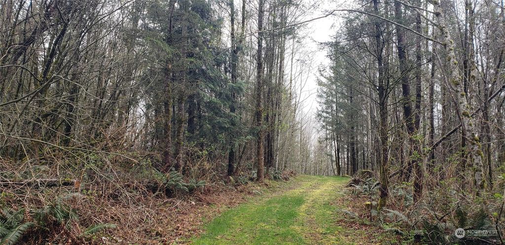 Photo of 289 XX 327th Way SE, Ravensdale, WA 98051 (MLS # 2237524)