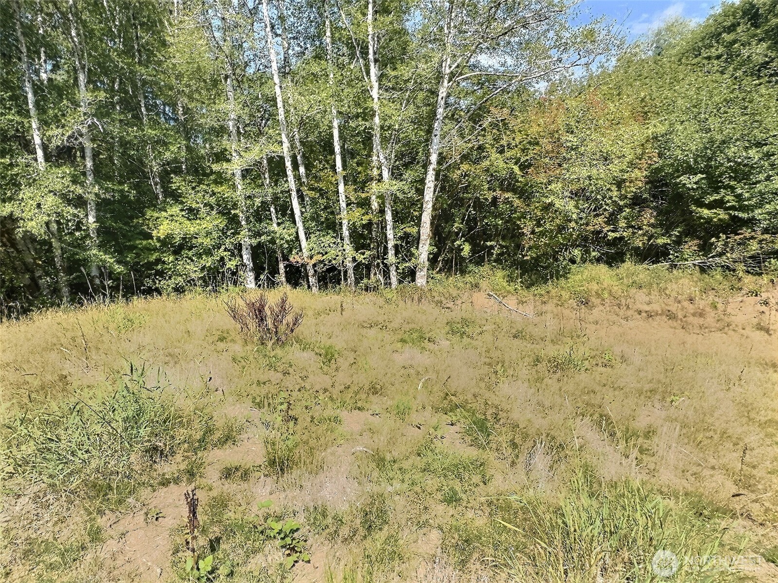 282 Butte Creek Road