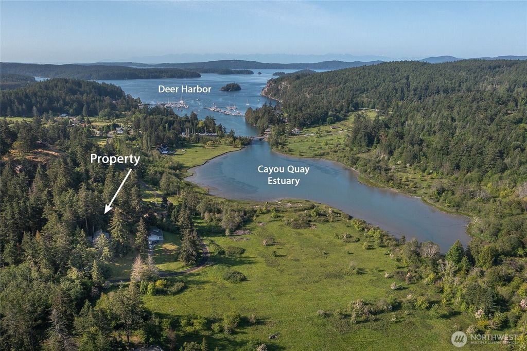 Photo of 402 Cayou Valley Road, Orcas Island, WA 98224 (MLS # 2525848)