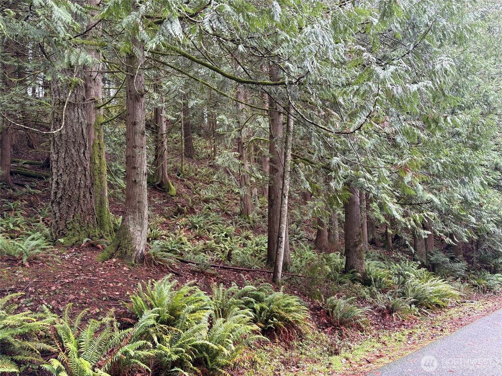 Photo of 52 High Cliff Lane, Bellingham, WA 98229 (MLS # 2462984)