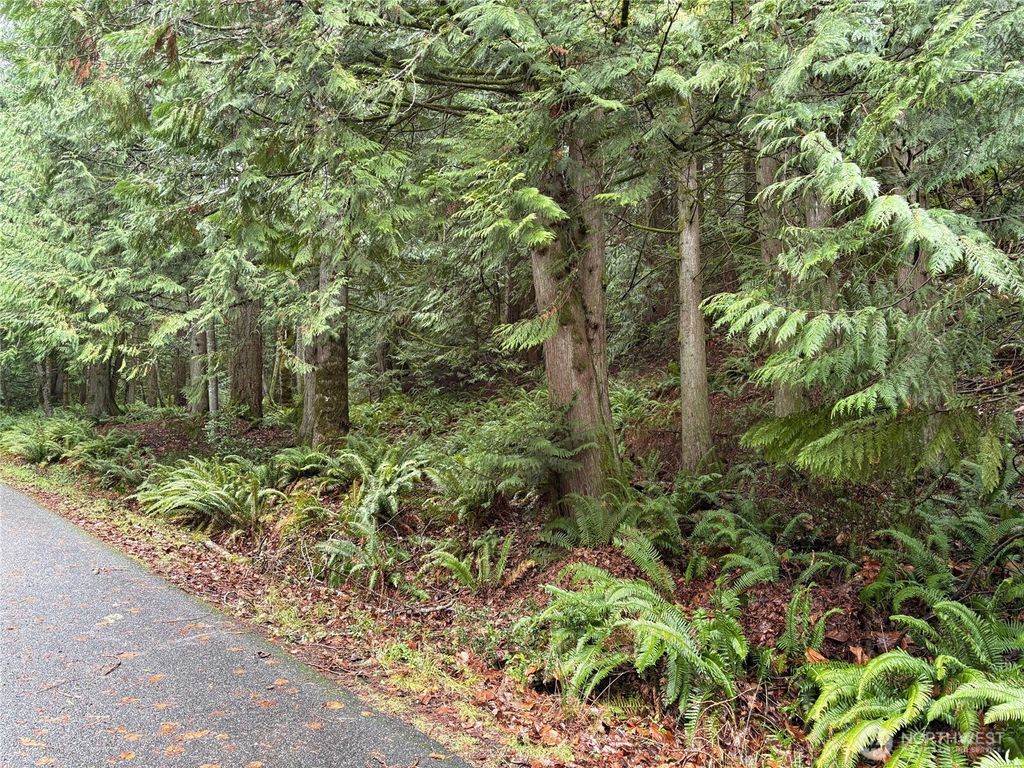 Photo of 52 High Cliff Lane, Bellingham, WA 98229 (MLS # 2462984)