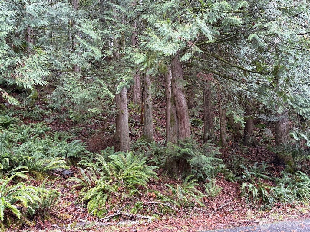 Photo of 52 High Cliff Lane, Bellingham, WA 98229 (MLS # 2462984)