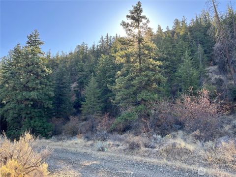 Photo of 31 Tyee View Loop, Orondo, WA 98843 (MLS # 2447470) Photo of 31 Tyee View Loop, Orondo, WA 98843 (MLS # 2447470)