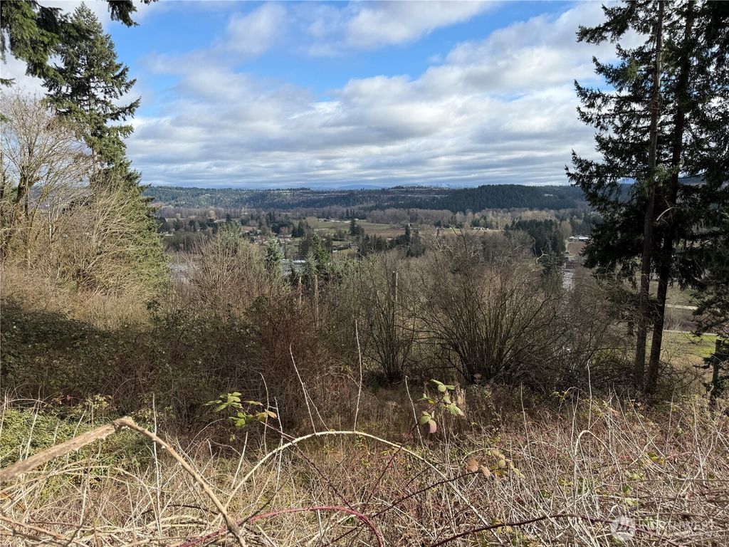 Photo of 11603 Jennifer Court E, Puyallup, WA 98374 (MLS # 2485543)