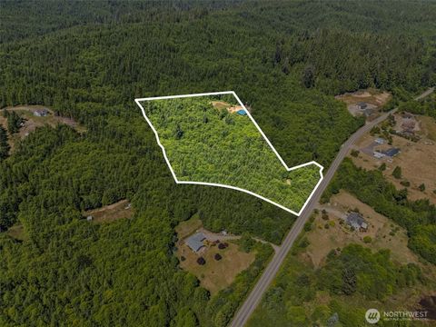 Photo of 341 Parpala Road, Naselle, WA 98638 (MLS # 2478516)