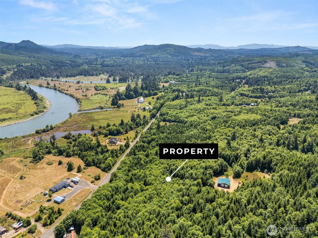 Photo of 341 Parpala Road, Naselle, WA 98638 (MLS # 2478516)