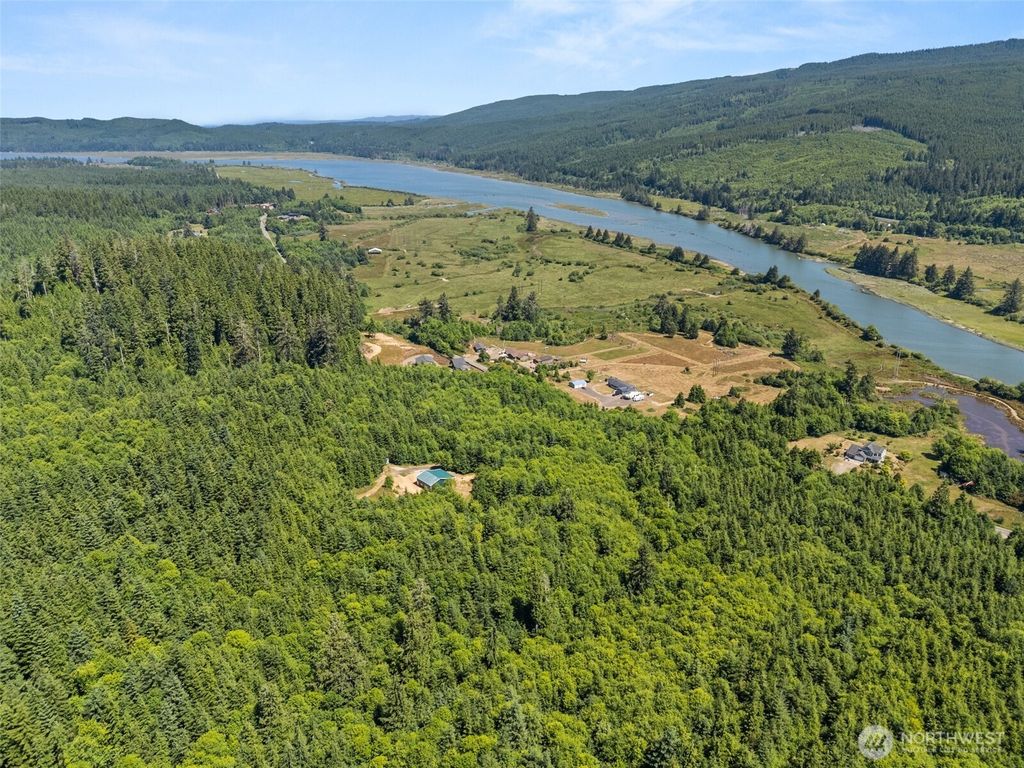 Photo of 341 Parpala Road, Naselle, WA 98638 (MLS # 2478516)