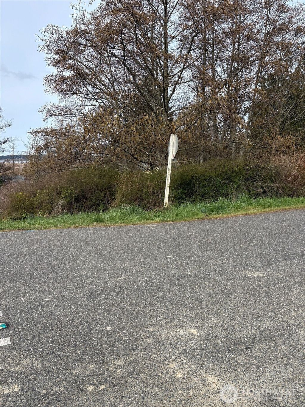 Photo of 0 Halsey &amp; Perry Drive, Coupeville, WA 98239 (MLS # 2502139)