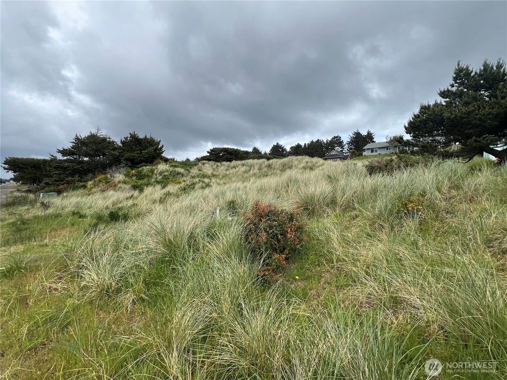 Photo of 32900 I Street, Ocean Park, WA 98640 (MLS # 2526576)
