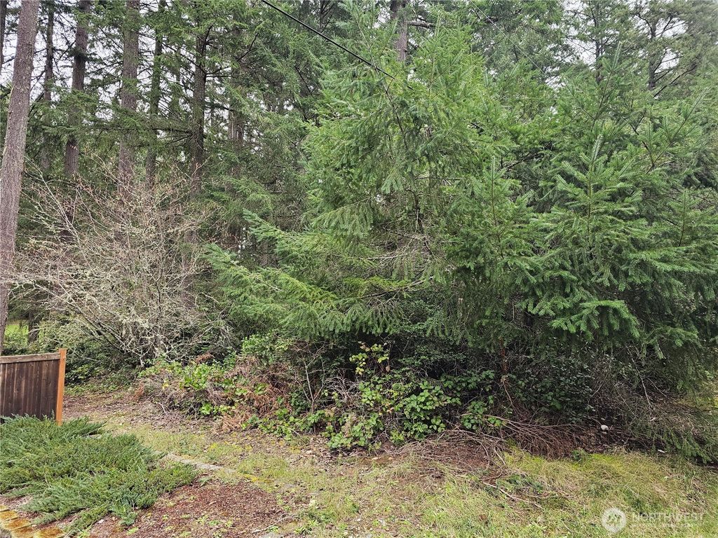 Photo of 11005 Pioneer Drive, Anderson Island, WA 98303 (MLS # 2493460)