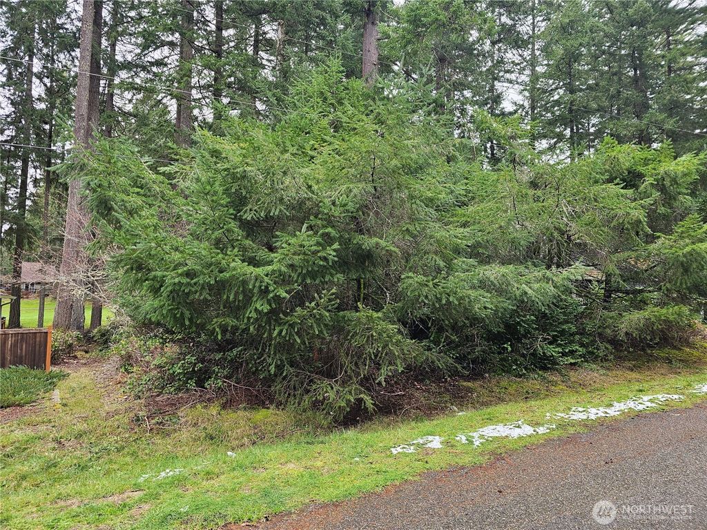 Photo of 11005 Pioneer Drive, Anderson Island, WA 98303 (MLS # 2493460)