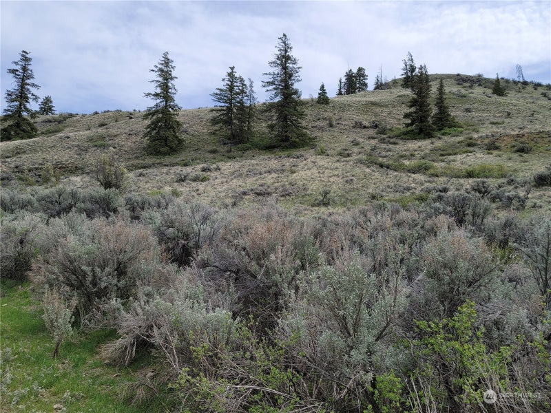98 Tyee View Loop RD