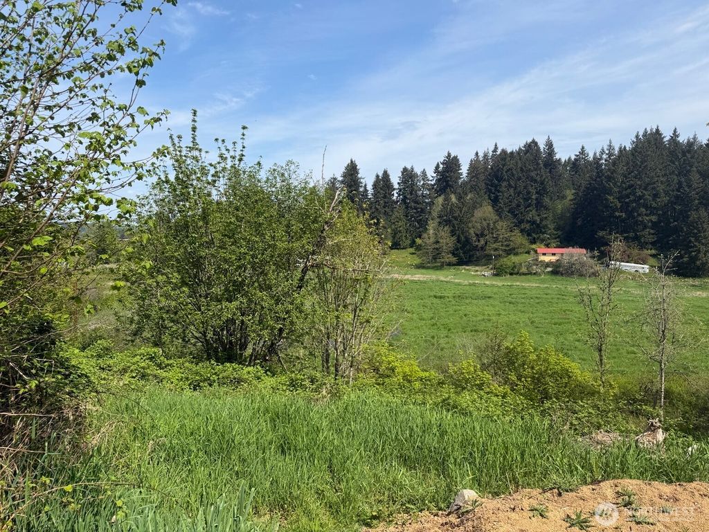 Photo of 0 Roswell Road, Centralia, WA 98531 (MLS # 2518075)