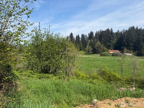 Photo of 0 Roswell Road, Centralia, WA 98531 (MLS # 2518075)