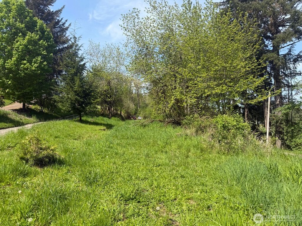 Photo of 0 Roswell Road, Centralia, WA 98531 (MLS # 2518075)