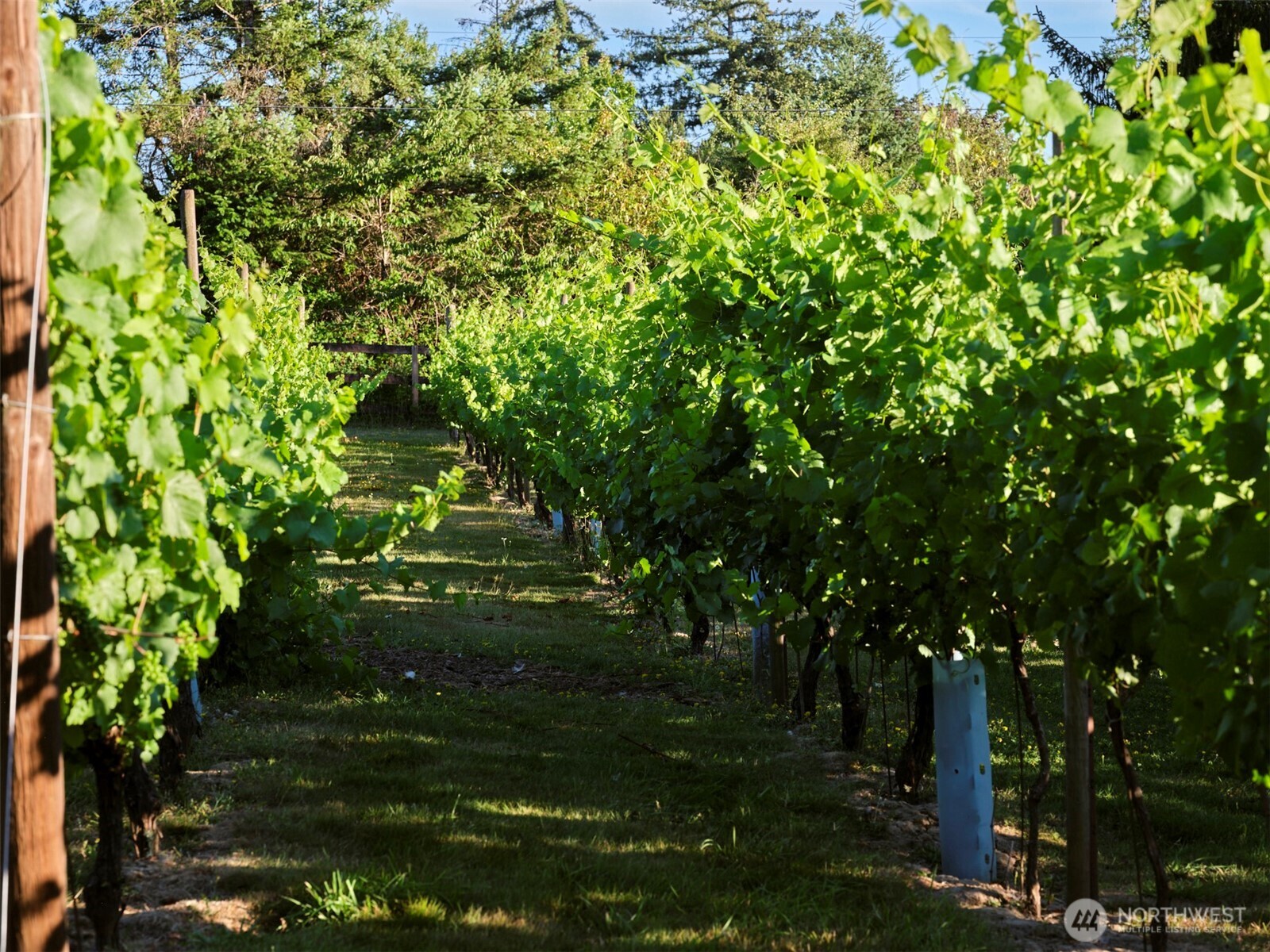 11700 NE 279th Street