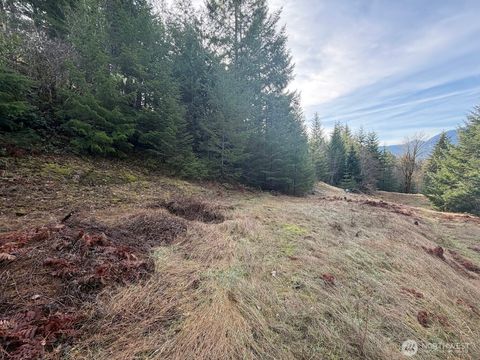Photo of 115 Ridge Lane, Packwood, WA 98361 (MLS # 2477334)