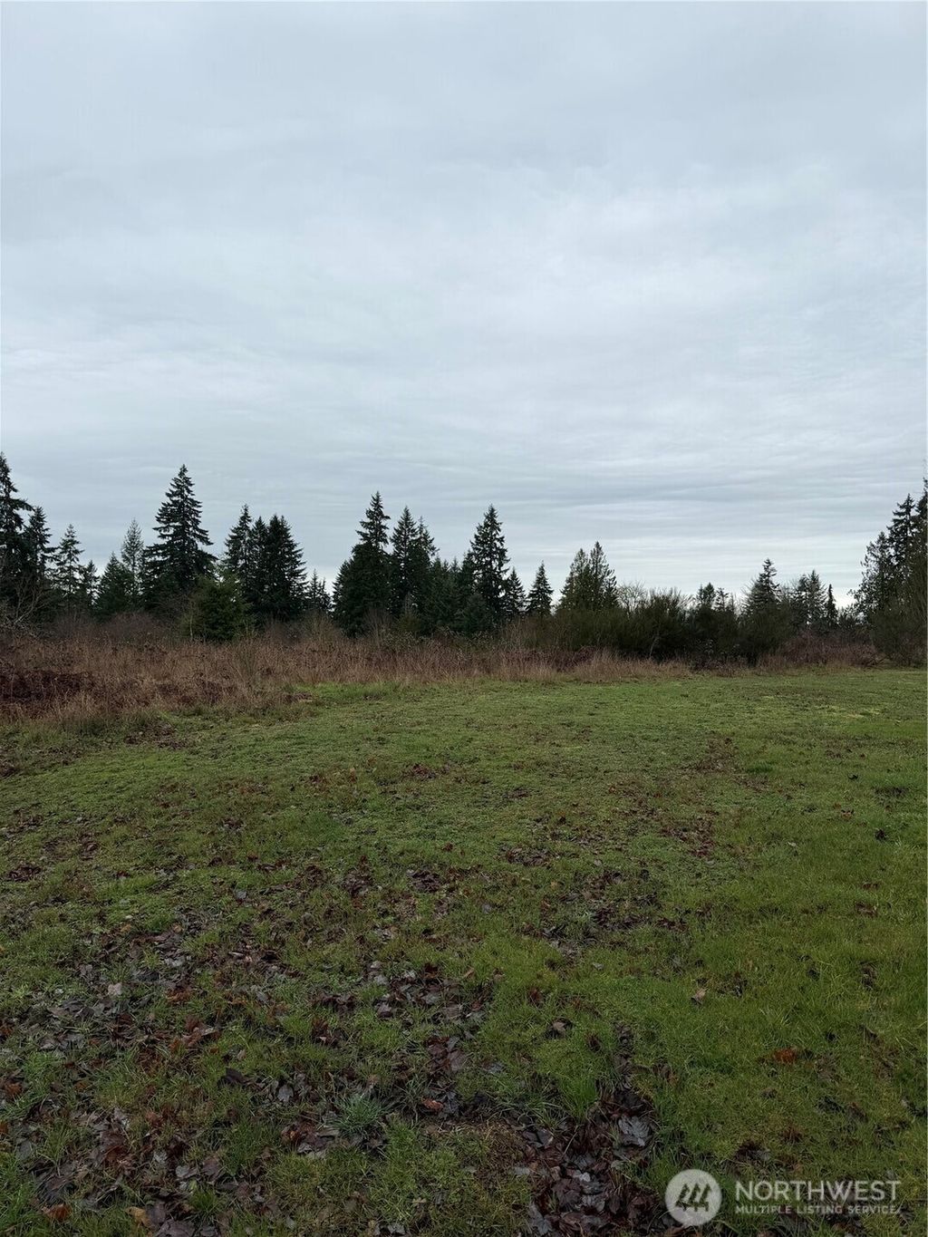 Photo of 10767 Palisades St Se St, Yelm, WA 98597 (MLS # 2495245)