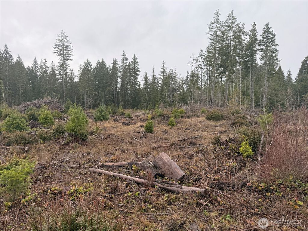 Photo of 10 XX E Shetland Road Rd, Shelton, WA 98584 (MLS # 2467513)