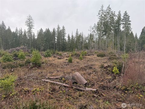 Photo of 10 XX E Shetland Road Rd, Shelton, WA 98584 (MLS # 2467513)