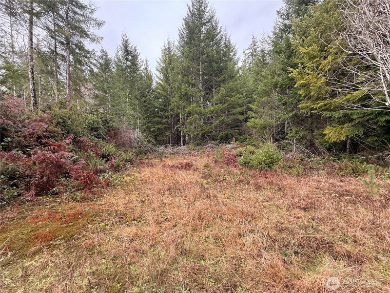 10 E Shetland Road