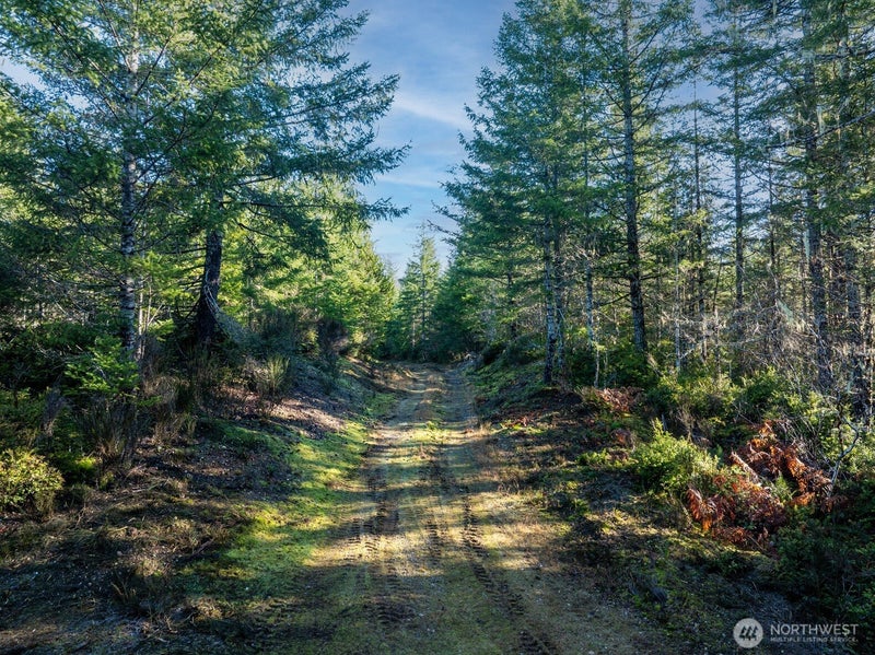 10 E Shetland Road