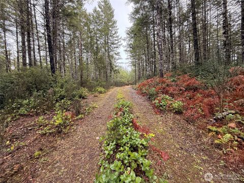 Photo of 10 XX E Shetland Road Rd, Shelton, WA 98584 (MLS # 2467513)