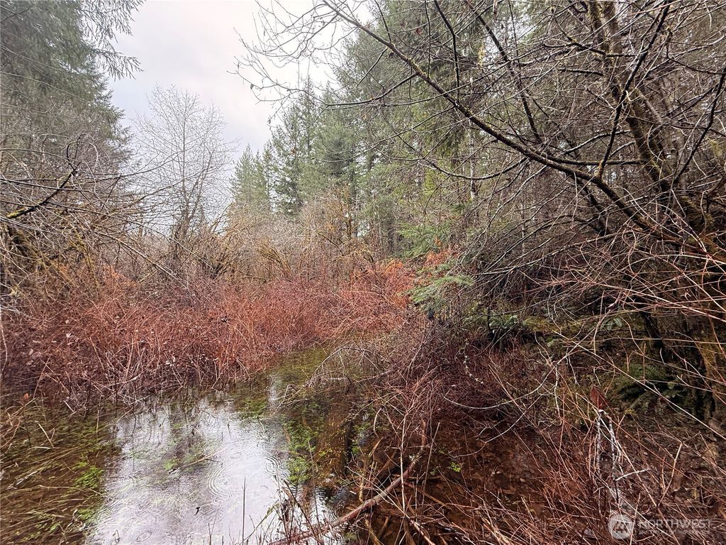 Photo of 10 XX E Shetland Road Rd, Shelton, WA 98584 (MLS # 2467513)