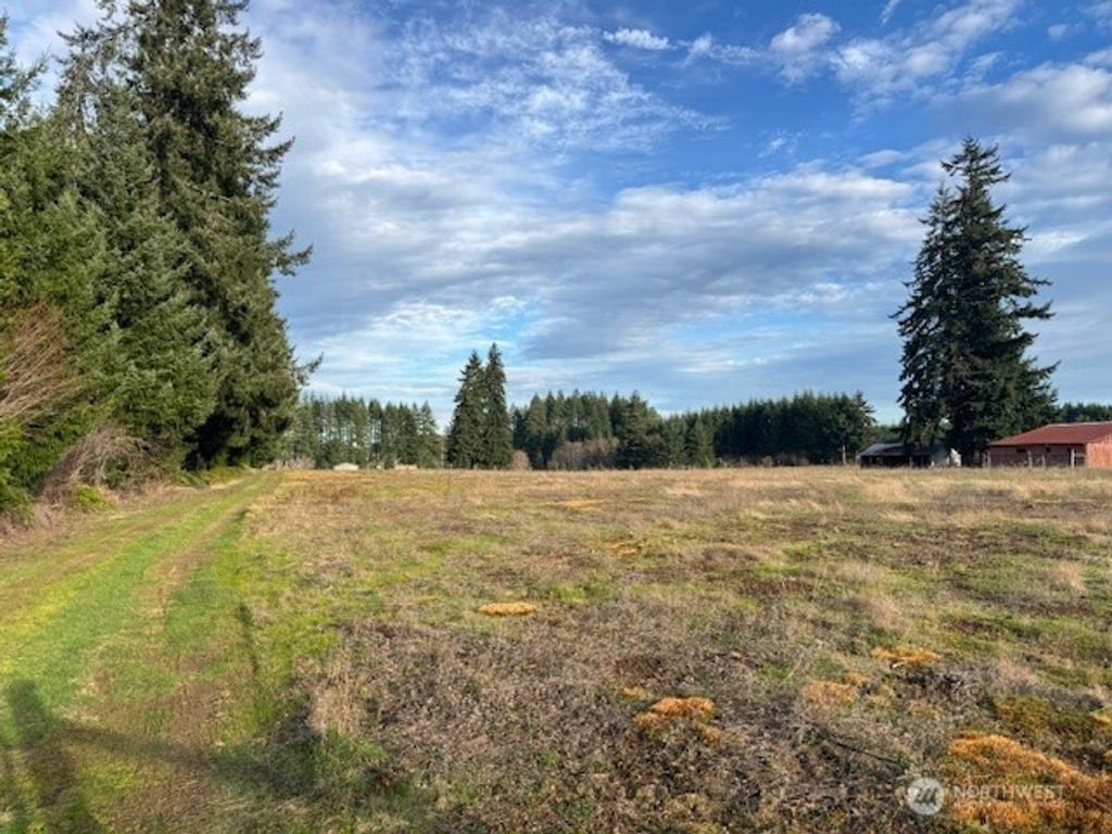 Photo of 0 LOT 1 Frogner Road, Adna, WA 98532 (MLS # 2493350)