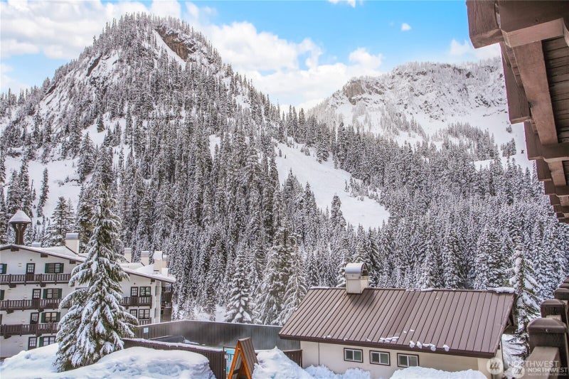 17800 Alpental Access Road SE 3102