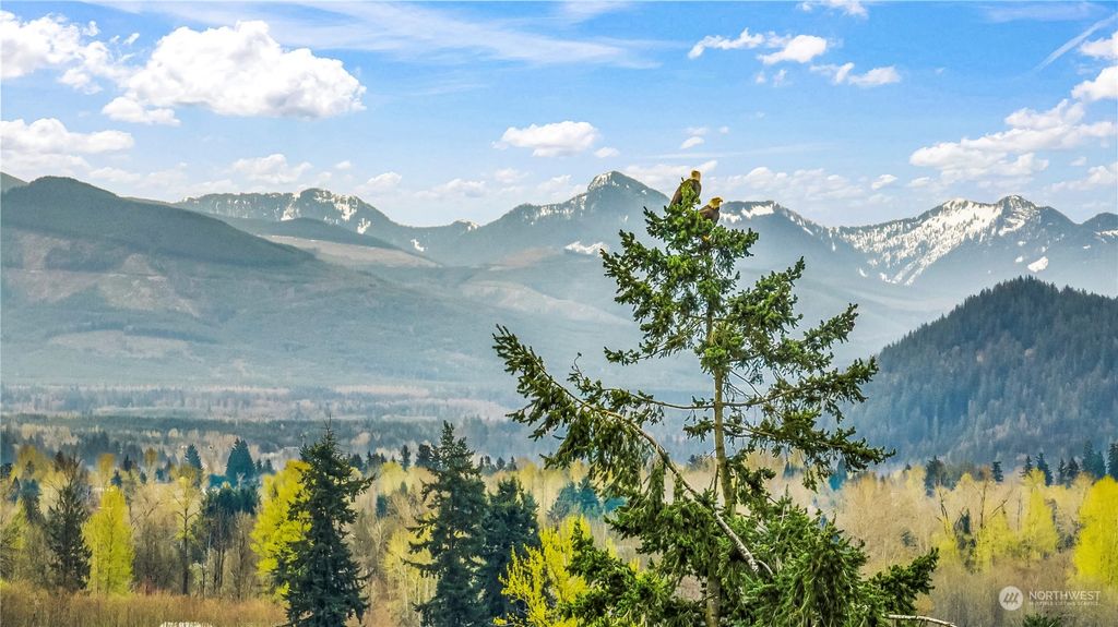 Photo of 40127 244th Avenue SE, Enumclaw, WA 98022 (MLS # 2219651)