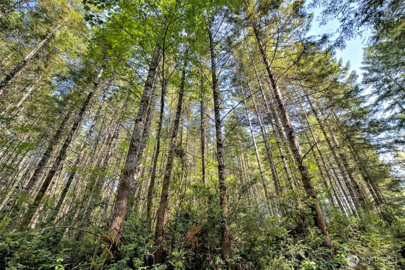 0 Tahuya Valley Drive E
