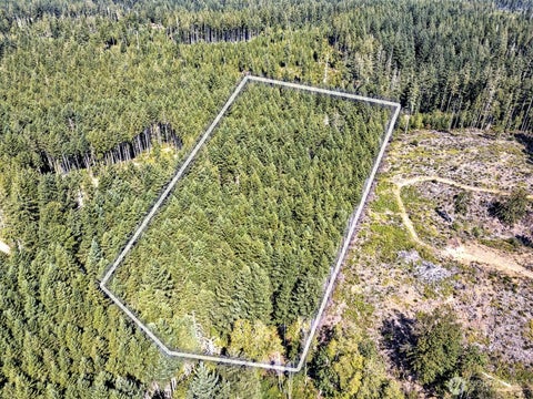 Photo of 0 Tahuya Valley Drive E, Tahuya, WA 98588 (MLS # 2571673)