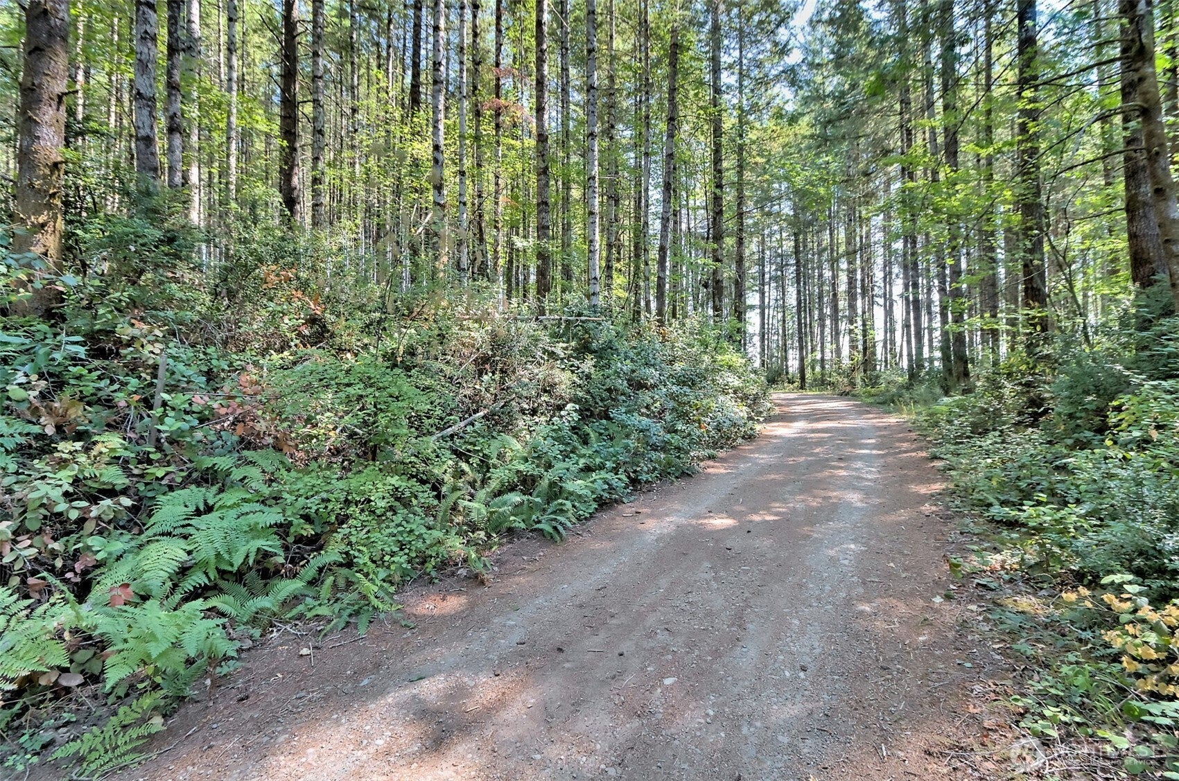 0 Tahuya Valley Drive E