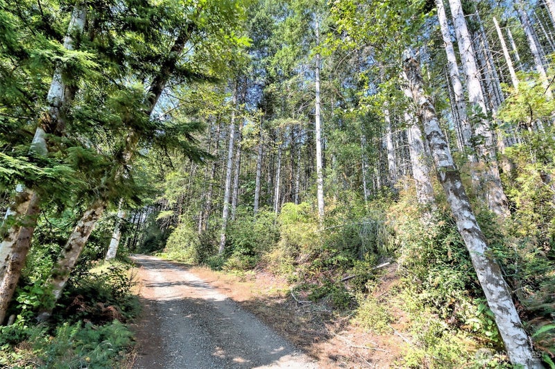 0 Tahuya Valley Drive E