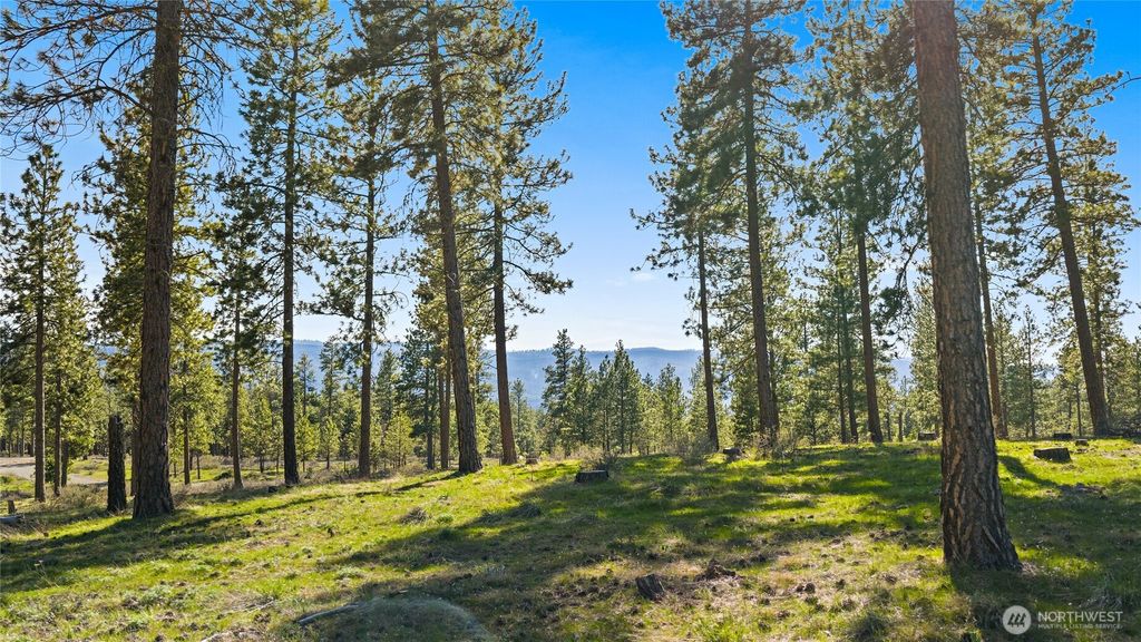 Photo of 0 XXX Flying M, Cle Elum, WA 98922 (MLS # 2507106)