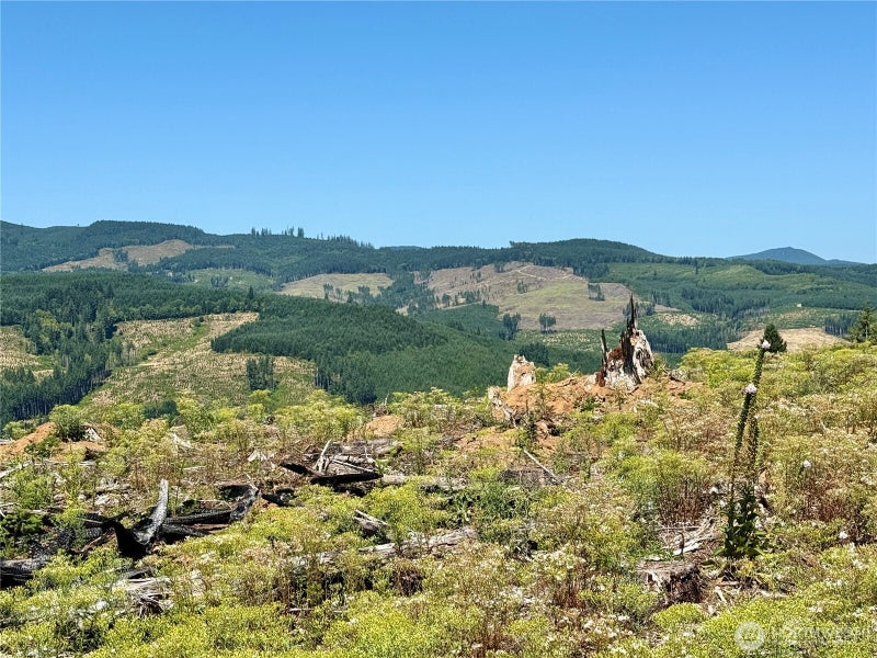 3700 Little Kalama River Road 6