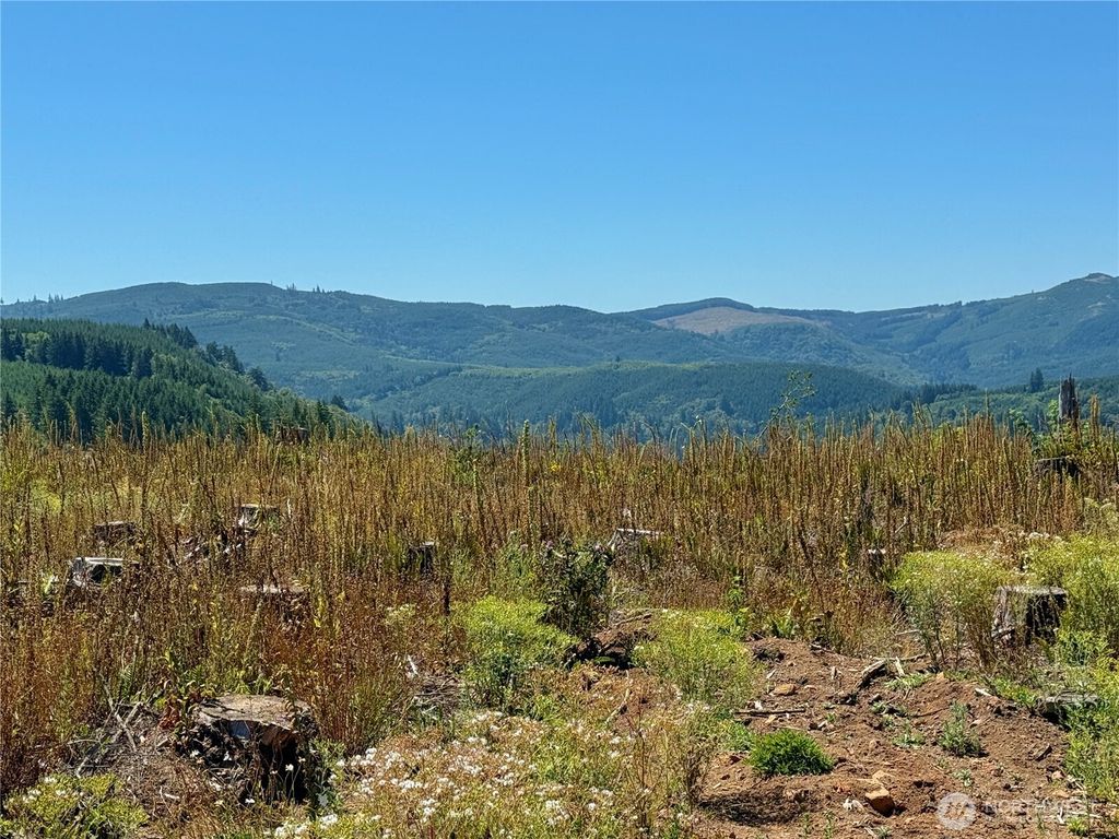Photo of 3700 Little Kalama River Road #6, Woodland, WA 98584 (MLS # 2520891)