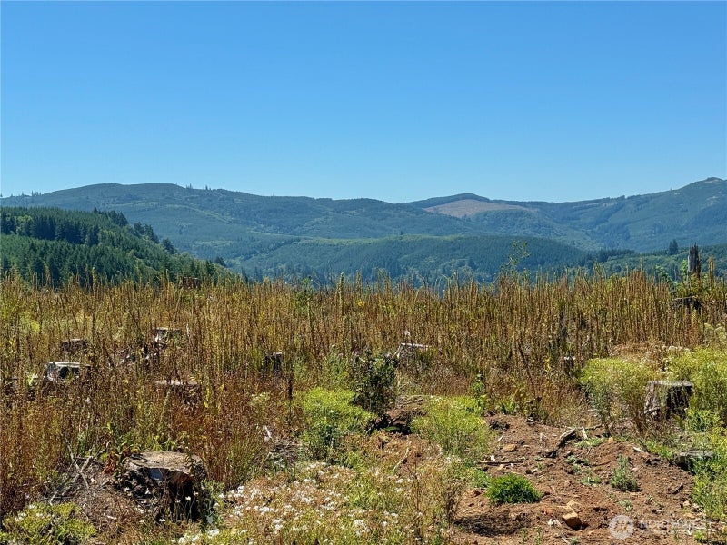 3700 Little Kalama River Road 6
