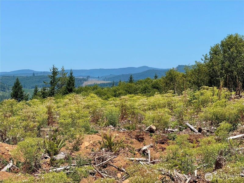 3700 Little Kalama River Road 6
