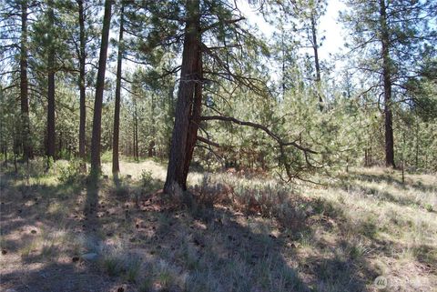 Photo of 4 Chief Joseph Spur East, Riverside, WA 98849 (MLS # 2511746)