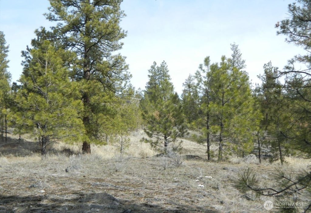 Photo of 280 Reevas Basin Road, Tonasket, WA 98855 (MLS # 2560045)