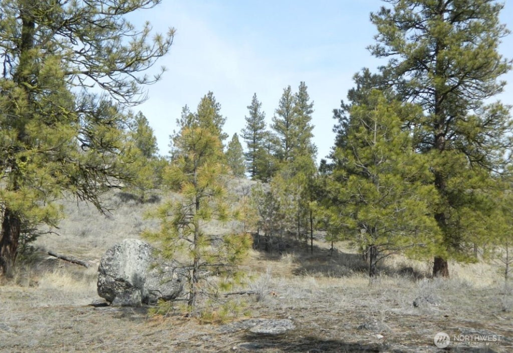 Photo of 280 Reevas Basin Road, Tonasket, WA 98855 (MLS # 2560045)