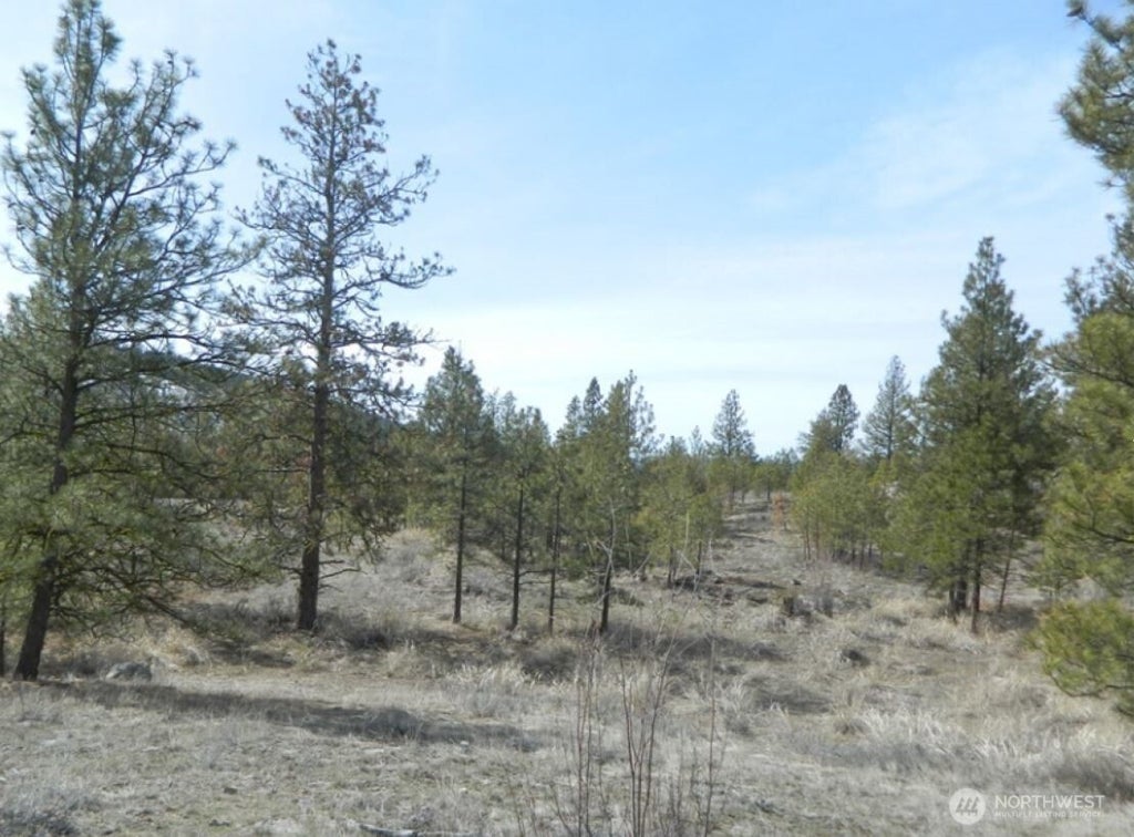 Photo of 280 Reevas Basin Road, Tonasket, WA 98855 (MLS # 2560045)